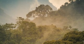 Afrika erreicht Meilenstein: 100 UNESCO-Welterbestätten auf dem (Foto: AdobeStock - Yann 553131522)